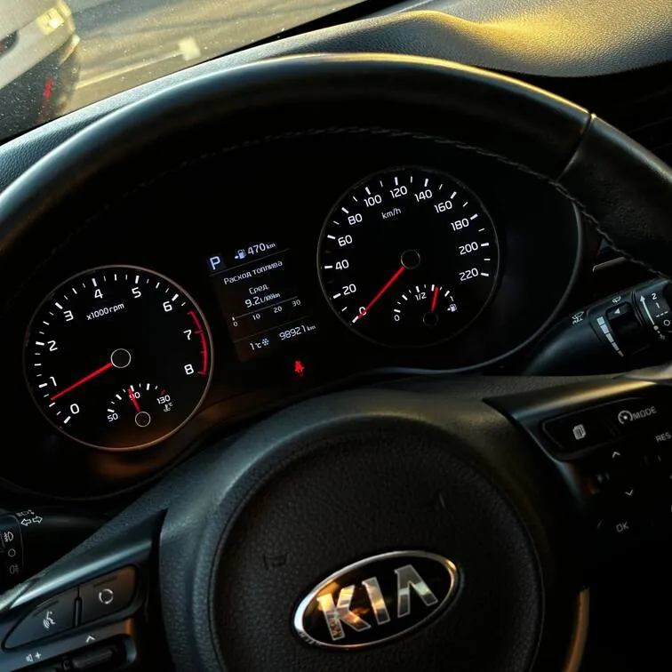 Kia Rio — фото 12